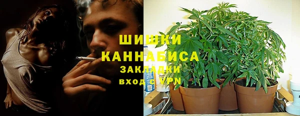 сатива Баксан