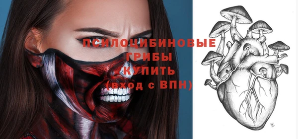 сатива Баксан