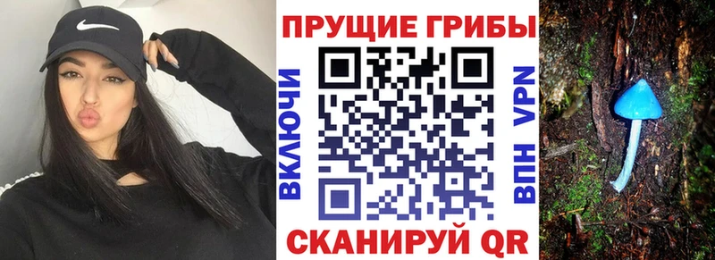 Псилоцибиновые грибы мицелий  Буйнакск 